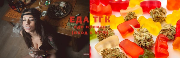 гашик Дмитриев
