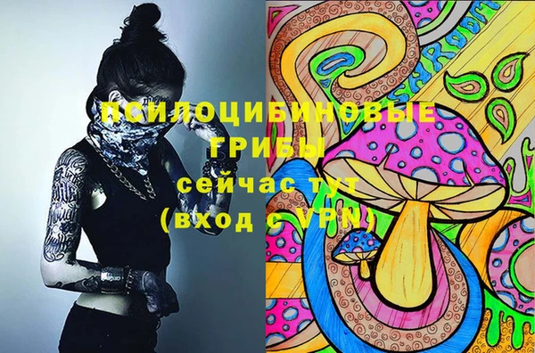 МДМА Дмитровск