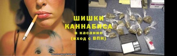 гашик Дмитриев