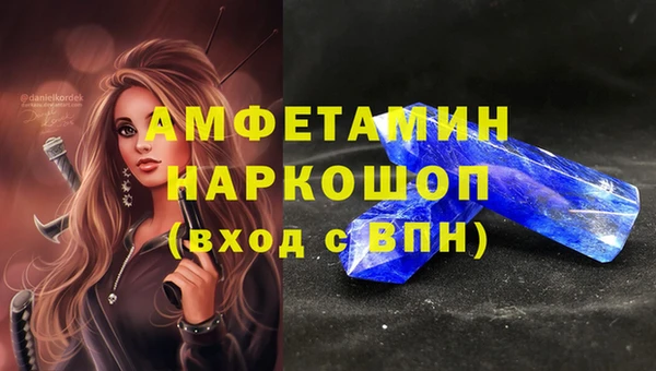 гашик Дмитриев