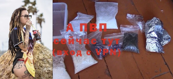 гашик Дмитриев
